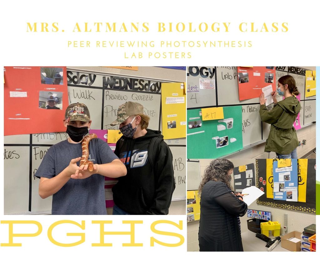 Biology Peer Review