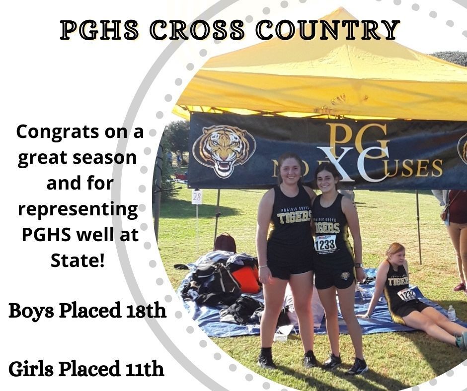 Cross Country State Recap 2020