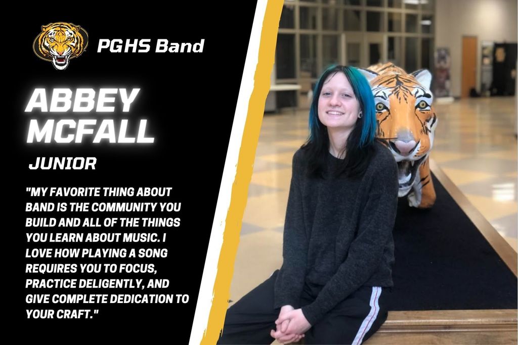 Meet the Tigers- McFall