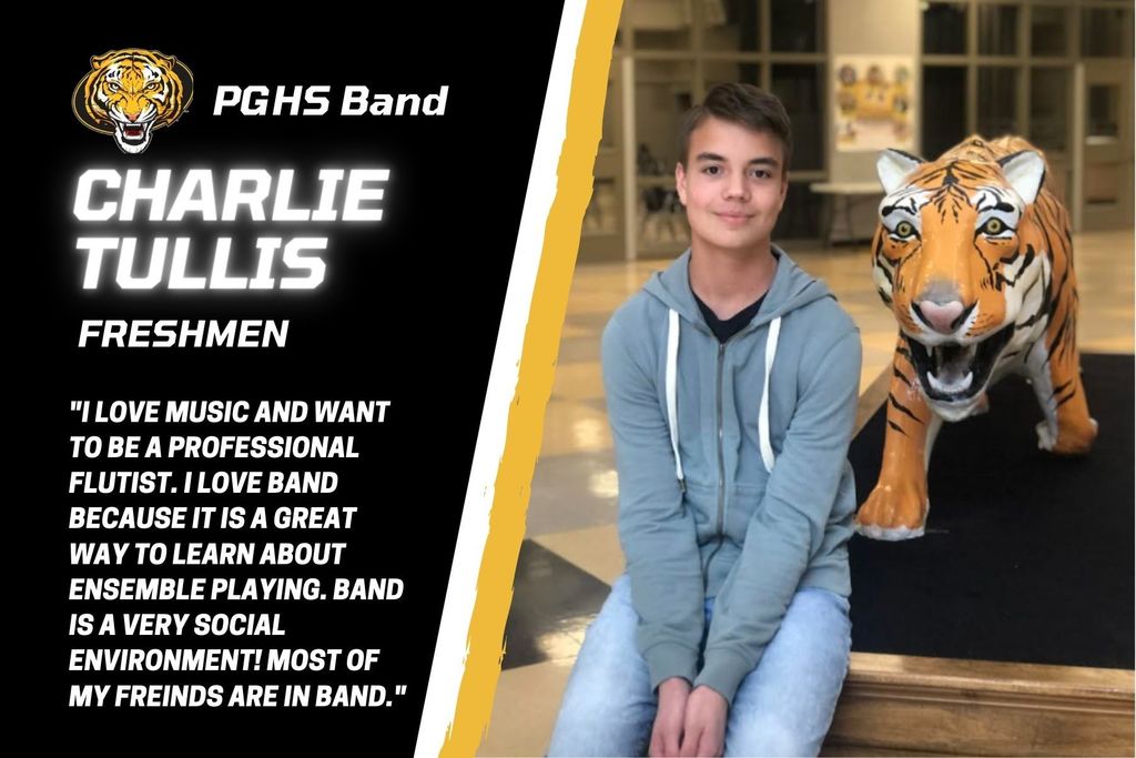 Meet the tigers- Tullis
